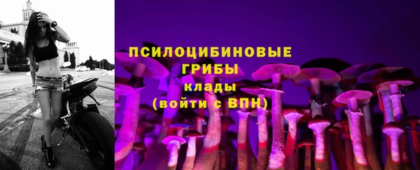 MDMA Premium VHQ Белокуриха