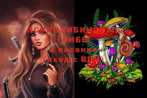 тгк Беломорск