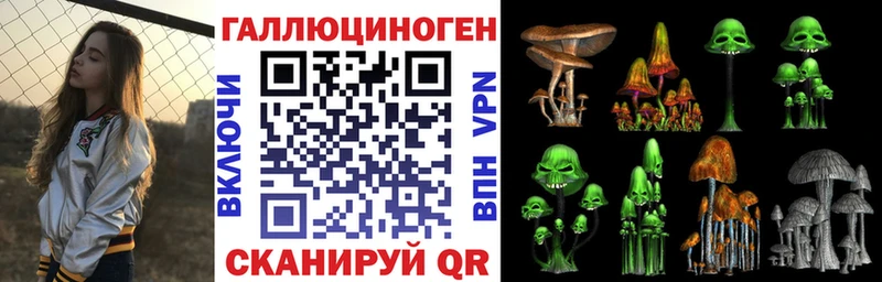 Галлюциногенные грибы GOLDEN TEACHER  где купить наркоту  Липецк 